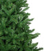 34908607 Holiday/Christmas/Christmas Trees