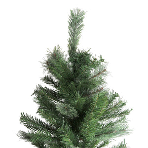 31450712 Holiday/Christmas/Christmas Trees