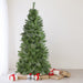 31450712 Holiday/Christmas/Christmas Trees