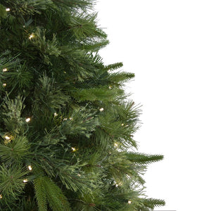 32265733 Holiday/Christmas/Christmas Trees