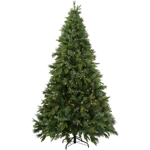 32265733 Holiday/Christmas/Christmas Trees