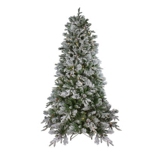 33388895 Holiday/Christmas/Christmas Trees