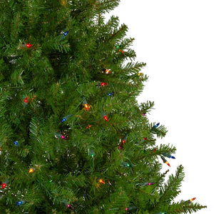 31450620 Holiday/Christmas/Christmas Trees