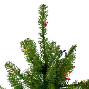 31450620 Holiday/Christmas/Christmas Trees