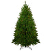 31450620 Holiday/Christmas/Christmas Trees