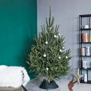 34858419 Holiday/Christmas/Christmas Stockings & Tree Skirts