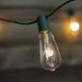 32913386 Holiday/Christmas/Christmas Lights