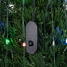 34959015 Holiday/Christmas/Christmas Trees