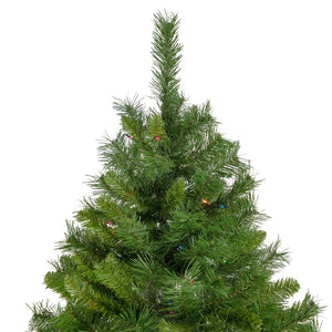 35166994 Holiday/Christmas/Christmas Trees