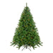 35166994 Holiday/Christmas/Christmas Trees