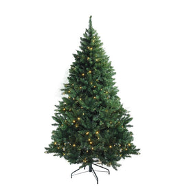 6.5' Pre-Lit Full Buffalo Fir Artificial Christmas Tree with Warm White LED Lights