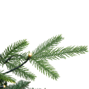 34865023 Holiday/Christmas/Christmas Trees