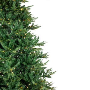 34865023 Holiday/Christmas/Christmas Trees