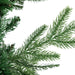 34865024 Holiday/Christmas/Christmas Trees