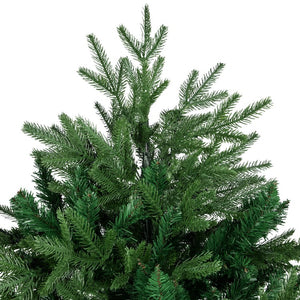 34865024 Holiday/Christmas/Christmas Trees