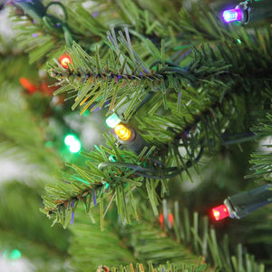 34908548 Holiday/Christmas/Christmas Trees