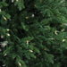 32915589 Holiday/Christmas/Christmas Trees