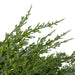 34315240 Holiday/Christmas/Christmas Wreaths & Garlands & Swags