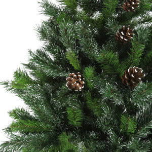 32607700 Holiday/Christmas/Christmas Trees