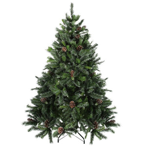 32607700 Holiday/Christmas/Christmas Trees