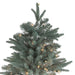 31451090 Holiday/Christmas/Christmas Trees