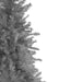 34318932 Holiday/Christmas/Christmas Trees