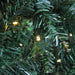 32266422 Holiday/Christmas/Christmas Trees