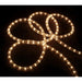 34316421 Holiday/Christmas/Christmas Lights