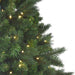 32915501 Holiday/Christmas/Christmas Trees