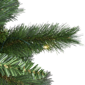 32915501 Holiday/Christmas/Christmas Trees