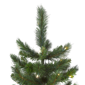 32915501 Holiday/Christmas/Christmas Trees