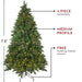 32915501 Holiday/Christmas/Christmas Trees
