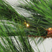 32279785 Holiday/Christmas/Christmas Trees
