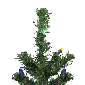 32283443 Holiday/Christmas/Christmas Trees