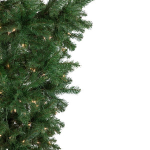 34908523 Holiday/Christmas/Christmas Trees