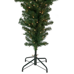 34908523 Holiday/Christmas/Christmas Trees