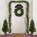35167002 Holiday/Christmas/Christmas Trees