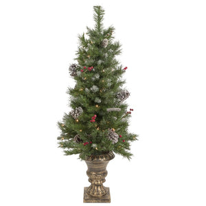 35167002 Holiday/Christmas/Christmas Trees