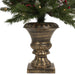 35167002 Holiday/Christmas/Christmas Trees