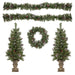 35167002 Holiday/Christmas/Christmas Trees