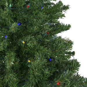 32283444 Holiday/Christmas/Christmas Trees