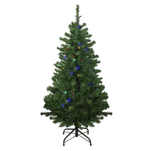 32283444 Holiday/Christmas/Christmas Trees