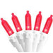 32605689 Holiday/Christmas/Christmas Lights