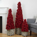 35250610 Holiday/Christmas/Christmas Trees