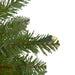 31752849 Holiday/Christmas/Christmas Trees