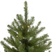 31752849 Holiday/Christmas/Christmas Trees