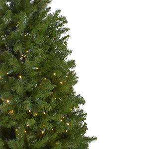 31752849 Holiday/Christmas/Christmas Trees