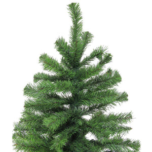 32623763 Holiday/Christmas/Christmas Trees