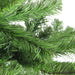 32623763 Holiday/Christmas/Christmas Trees