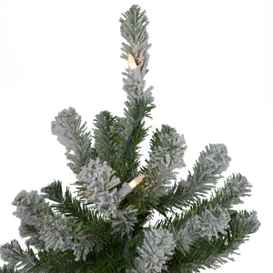 33532714 Holiday/Christmas/Christmas Trees